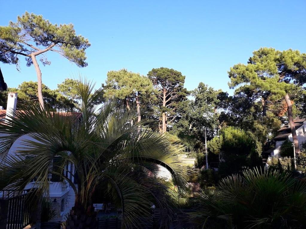 Belle De Dune La Baule Exteriér fotografie